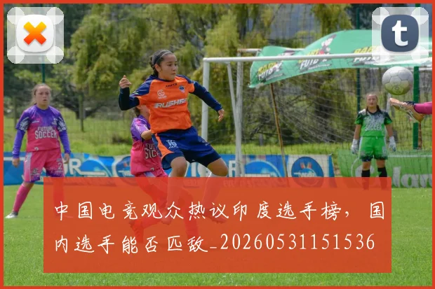 中国电竞观众热议印度选手榜，国内选手能否匹敌_20260531151536