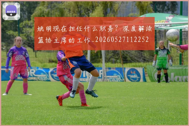 姚明现在担任什么职务?深度解读篮协主席的工作_20260527112252